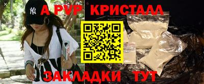 сатива Новозыбков