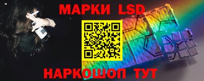 сатива Новозыбков