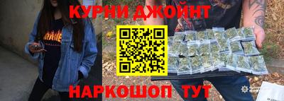 сатива Новозыбков
