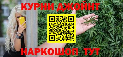 сатива Новозыбков