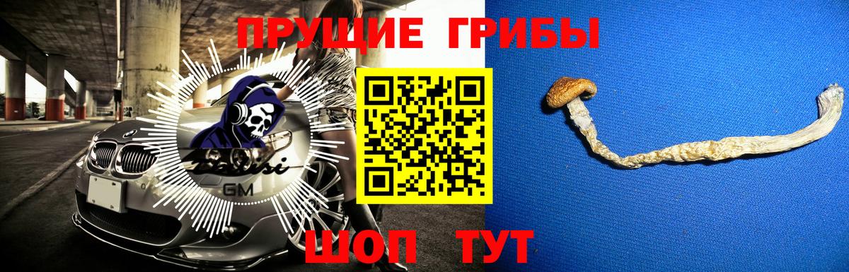 Псилоцибиновые грибы Magic Shrooms Пушкино